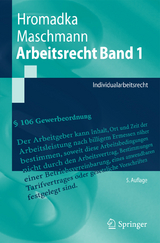 Arbeitsrecht Band 1 - Wolfgang Hromadka, Frank Maschmann