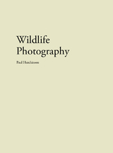 Wildlife Photography - Hutchinson Paul