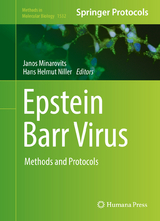 Epstein Barr Virus - 