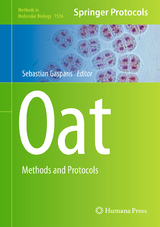 Oat - 