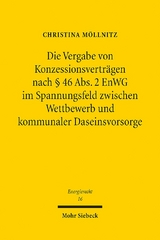 Die Vergabe von Konzessionsverträgen nach § 46 Abs. 2 EnWG im Spannungsfeld zwischen Wettbewerb und kommunaler Daseinsvorsorge - Christina Möllnitz