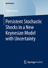 Persistent Stochastic Shocks in a New Keynesian Model with Uncertainty - Tobias Kranz