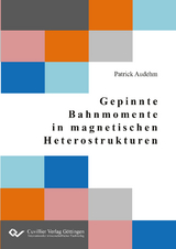 Gepinnte Bahnmomente in magnetischen Heterostrukturen - Patrick Audehm