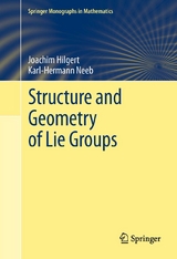 Structure and Geometry of Lie Groups -  Joachim Hilgert,  Karl-Hermann Neeb