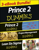 PRINCE 2 For Dummies Three e-book Bundle: Prince 2 For Dummies, Project Management For Dummies & Lean Six Sigma For Dummies -  Martin Brenig-Jones,  Nick Graham,  John Morgan