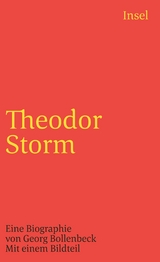 Theodor Storm - Georg Bollenbeck