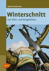 Winterschnitt - Günter Pardatscher