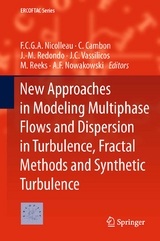 New Approaches in Modeling Multiphase Flows and Dispersion in Turbulence, Fractal Methods and Synthetic Turbulence - 