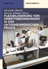 Flexibilisierung von Arbeitsbedingungen in der unternehmerischen Praxis - 