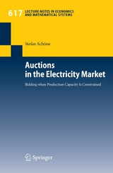 Auctions in the Electricity Market - Stefan Schöne