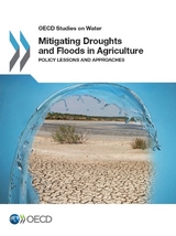 Mitigating Droughts and Floods in Agriculture