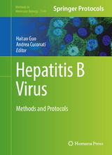 Hepatitis B Virus - 
