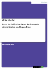 Stress im helfenden Beruf. Evaluation in einem Kinder- und Jugendhaus -  Ulrike Schaffer