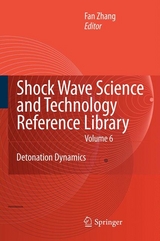 Shock Waves Science and Technology Library, Vol. 6 - 
