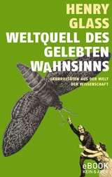 Weltquell des gelebten Wahnsinns -  Henry Glass