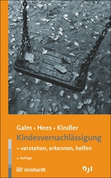 Kindesvernachlässigung - verstehen, erkennen, helfen - Beate Galm, Katja Hees, Heinz Kindler