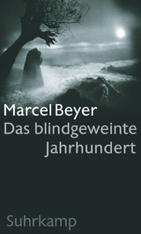 Das blindgeweinte Jahrhundert - Marcel Beyer