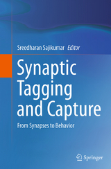 Synaptic Tagging and Capture - 