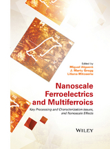 Nanoscale Ferroelectrics and Multiferroics - 