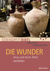 Die Wunder - Serendipity bibel