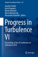 Progress in Turbulence VI - 