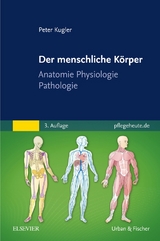 Der menschliche Körper - Peter Kugler