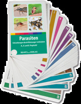 Parasiten - Fächer - Reiner Pospischil