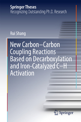 New Carbon–Carbon Coupling Reactions Based on Decarboxylation and Iron-Catalyzed C–H Activation - Rui Shang