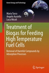 Treatment of Biogas for Feeding High Temperature Fuel Cells - Maria Turco, Angelo Ausiello, Luca Micoli