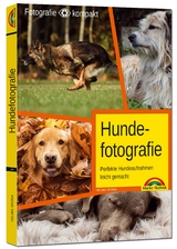 Hundefotografie - Perfekte Hundeaufnahmen leicht gemacht. - Helma Spona