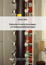 Elektrotechnische Grundlagen von Elektroporationsanlagen - Martin Sack