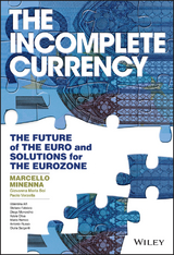 The Incomplete Currency - Marcello Minenna, Giovanna Maria Boi, Paolo Verzella