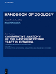 Handbook of Zoology/ Handbuch der Zoologie. Handbook of Zoology / Comparative Anatomy of the Gastrointestinal Tract in Eutheria - Peter Langer