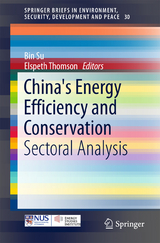 China's Energy Efficiency and Conservation - 