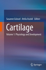 Cartilage - 