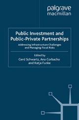 Public Investment and Public-Private Partnerships - 