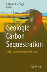Geologic Carbon Sequestration - 