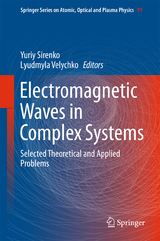 Electromagnetic Waves in Complex Systems - 