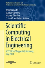 Scientific Computing in Electrical Engineering - 