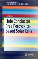 Hole Conductor Free Perovskite-based Solar Cells - Lioz Etgar