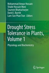 Drought Stress Tolerance in Plants, Vol 1 - 