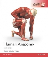 Human Anatomy, Global Edition - Marieb, Elaine; Wilhelm, Patricia; Mallatt, Jon