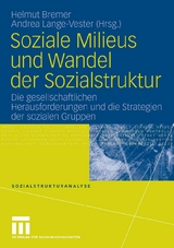 Soziale Milieus und Wandel der Sozialstruktur - 