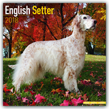 English Setter Calendar 2018 - Avonside Publishing Ltd