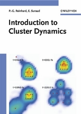 Introduction to Cluster Dynamics - Paul-Gerhard Reinhard, Eric Suraud