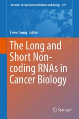 Long and Short Non-coding RNAs in Cancer Biology - 