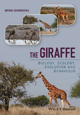 Giraffe -  Bryan Shorrocks