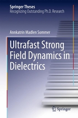 Ultrafast Strong Field Dynamics in Dielectrics - Annkatrin Madlen Sommer
