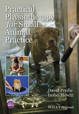 Practical Physiotherapy for Small Animal Practice -  Isobel Hewitt,  David Prydie