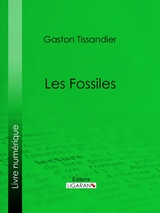 Les Fossiles -  Ligaran,  Gaston Tissandier